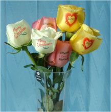 Speaking Flower Printing Machine