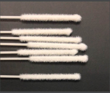 Sample Collection Flocked Swabs Flocked Swab Medical Term