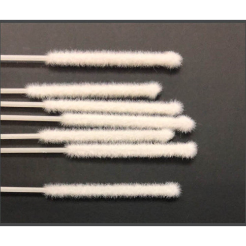 Sample Collection Flocked Swabs Flocked Rectal Swabs