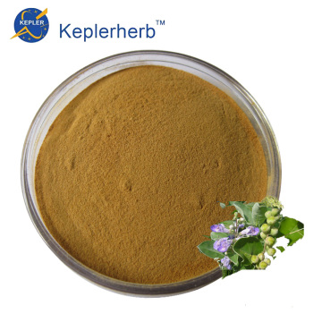 Chaste Tree Fruit Extract Powder