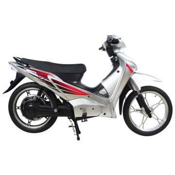 Electric Scoter (HSM-527)