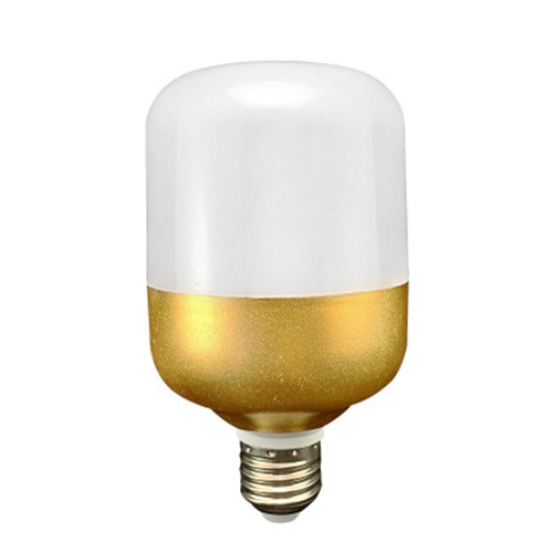 9W LED Golden Light Bulb