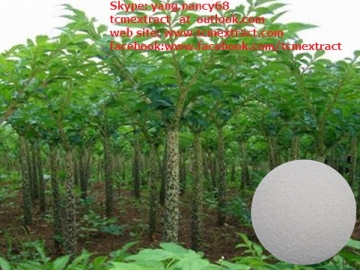 Konjac Extract/ Konjac Root Extract/100% Natural konjac glucomannan extract Glucomannan 90%,95%