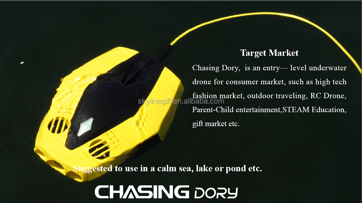 Underwater Drone CHASING DORY Underwater photos and videos for underwater exploration