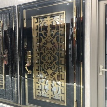 Modern Exterior Stainless Steel Panel Single Door Design