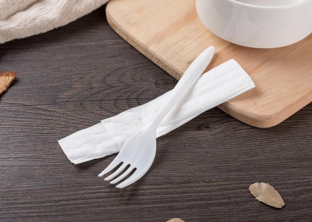 Plastic Disposable Fork Set