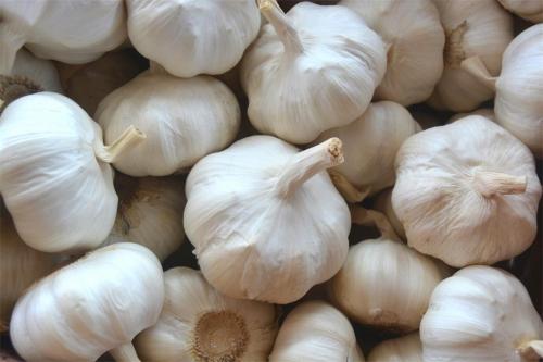 2018 new crop garlic pure white garlic price