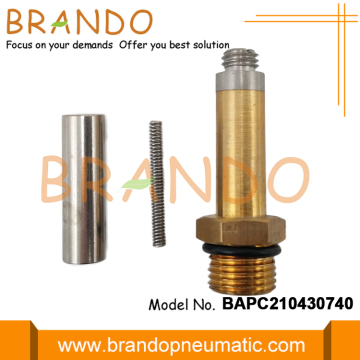 LPG CNG Gas Valve Armature Assembly Repair Kit