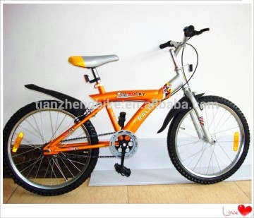 Mountain Bike for Children / Boy Bike