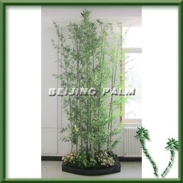 Preserved bamboo tree