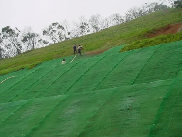 3D Plastic Geomat Erosion Control Mat Earth Erosion Mat