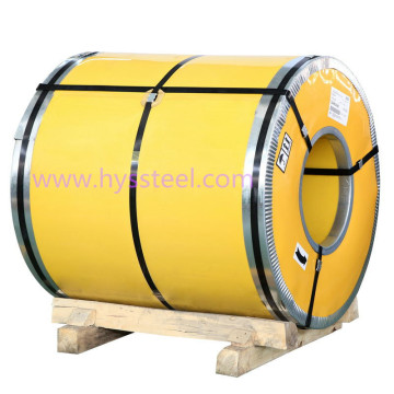 Stainless Steel Sheet, Plate and Coil 304