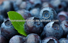 good taste individual quick frozen blueberry