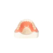 Plain Pink Full Denture