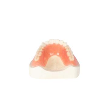 Plain Pink Full Denture