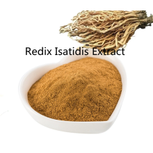 Buy online ingredients Redix Isatidis Extract