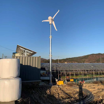 Wind turbine grid-connected wind turbine system