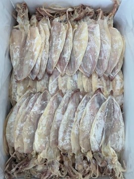 Seafood dry squid whole