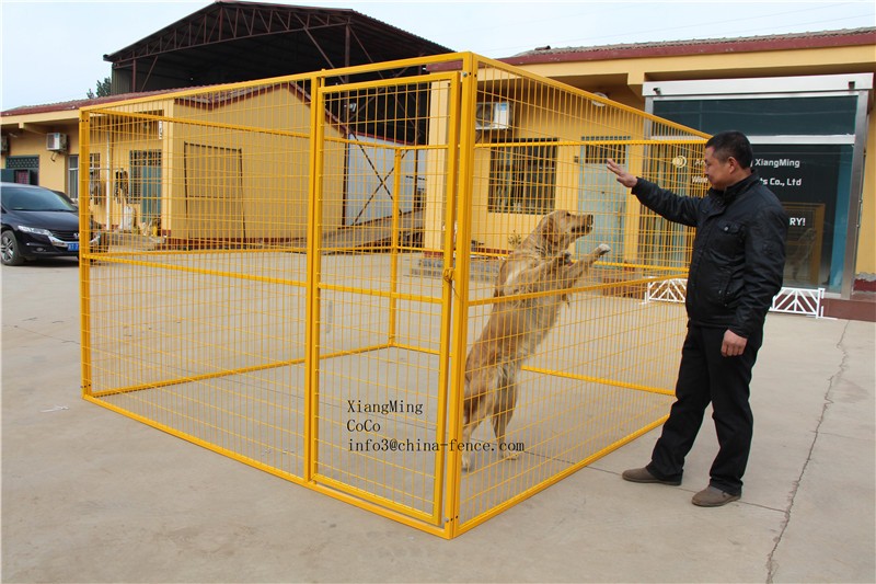 American metal outdoor dog kennel / outdoor big dog cage