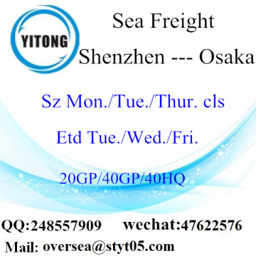 Shenzhen Port Sea Freight Shipping To Osaka