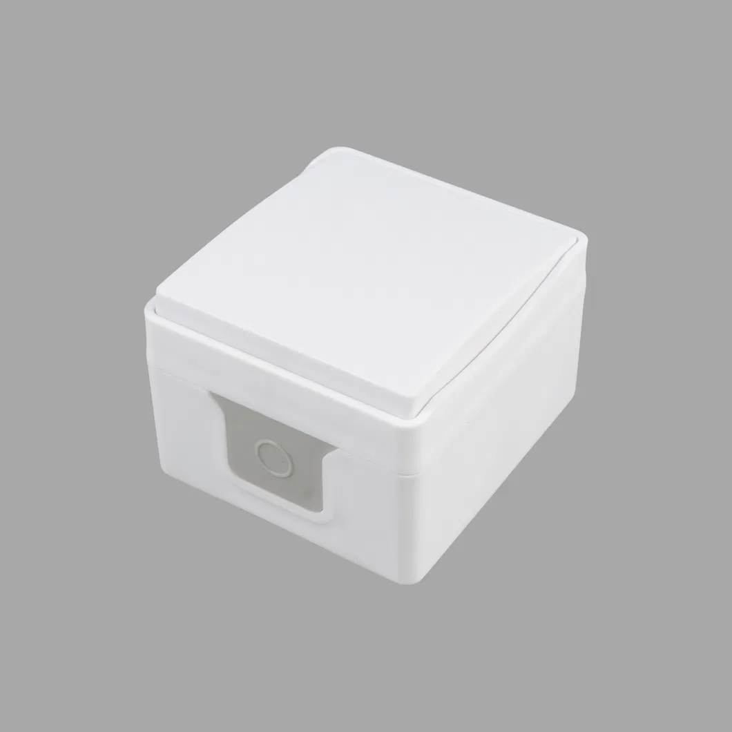 Single-Gang Socket with Grounding for Outdoor Installation 16A IP54