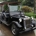 8 seat classic gas powered golf cart