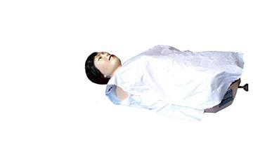 Electric model for liver and spleen palpation