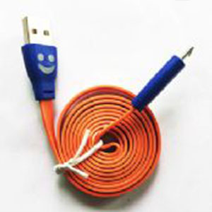 V8 date cable(1)