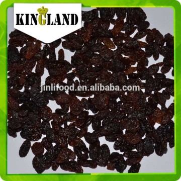 New crop sultana dried fruit raisin sultana