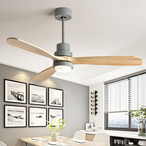 LEDER Led Modern Lamp Fans