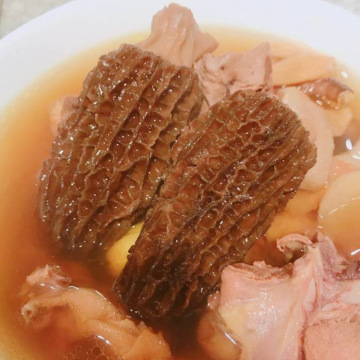 Dried Morel Morchella Mushroom