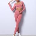 Fitness Seamless Suit Yoga Set