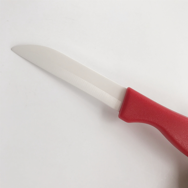 Cuchillo de cocina Paring Knife