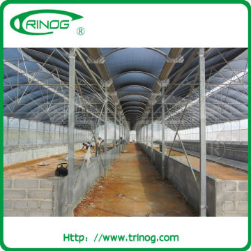 Agricultural poly tunnel greenhouse greenhouse tent