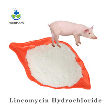Buy online active Lincomycin Hydrochloride powder