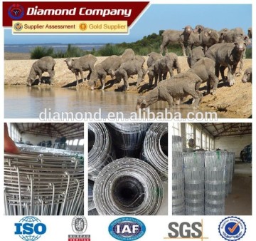 Manufacture commercial design sheep wire fence /sheep wire mesh fence/sheep fence