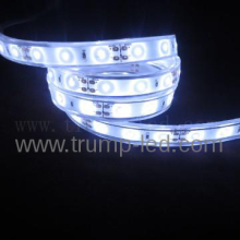 waterproof 3014 lights for outdoors