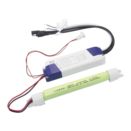 Battery pack for emergency lighting