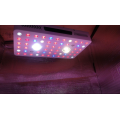 Phlizon Full Spectrum COB Led Grow Lights US