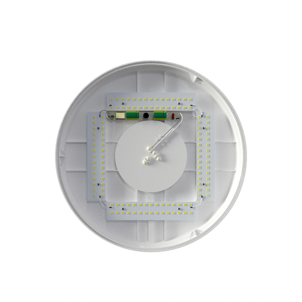 Surface Mounted LED Ceiling Light with CE Certification