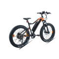XY-Warrior-W Electric mountain bike with hub motor