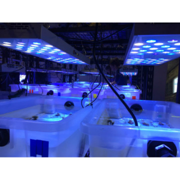 Luz LED de alta calidad para acuario