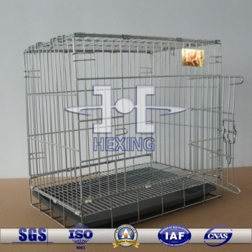 African lovebird cage discount sale