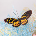 Design artigianale di farfalle di carta