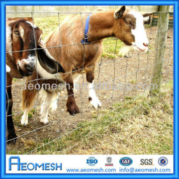 Cattle Farm Fence