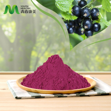 Blackcurrant Extract for Antioxidant Benefits