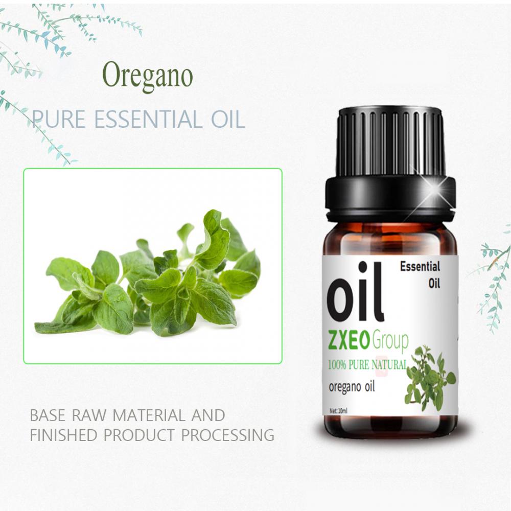 روغن ضروری Oregano برای روغن Oregano در برچسب خصوصی