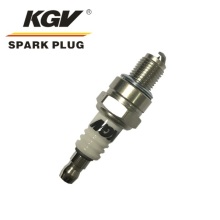 Small Engine Iridium Spark Plug HIX-CMR5.