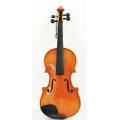 Flamed Maple Spirit Varnish Violin