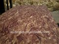 Jenis Flakeboard dan Strand berorientasikan Boards(OSB) papak struktur kayu